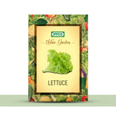 GIY - Lettuce(Salad Patta) Seeds